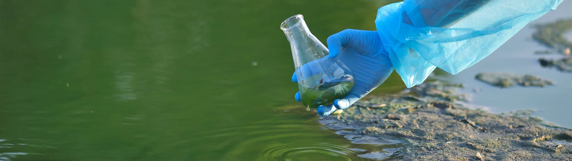 environmentalist hand of a researcher in a process of taking a sample of contaminated water from a lake