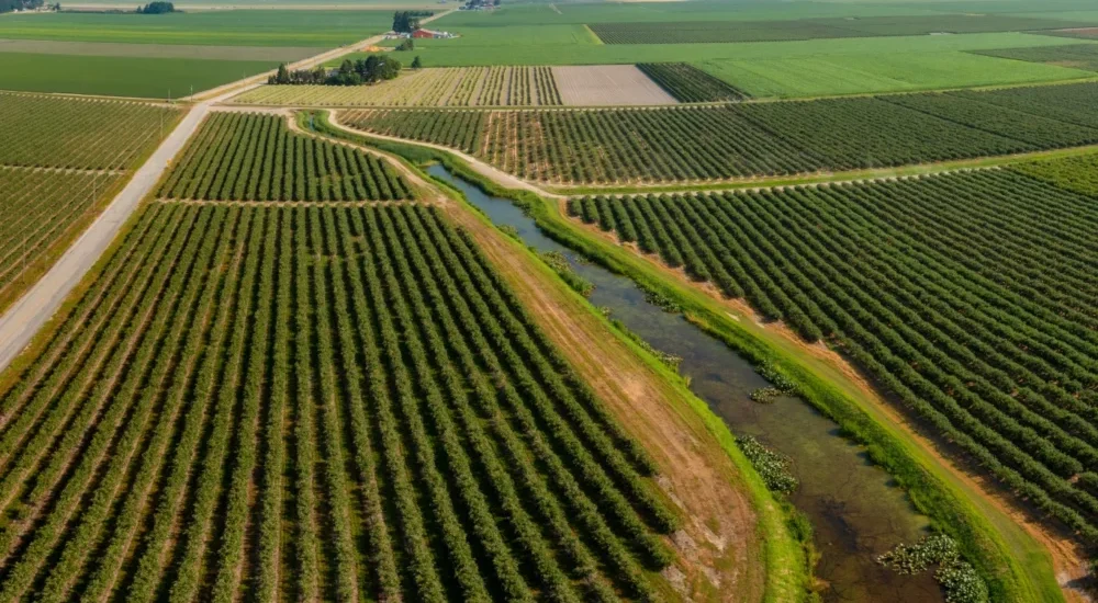 Aerial View of Fields.